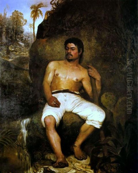 The Brazilian lumberjack - view 1