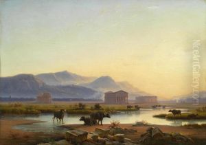 View of the temples of Paestum in the evening light / Water buffalo in the Campagna by unknown