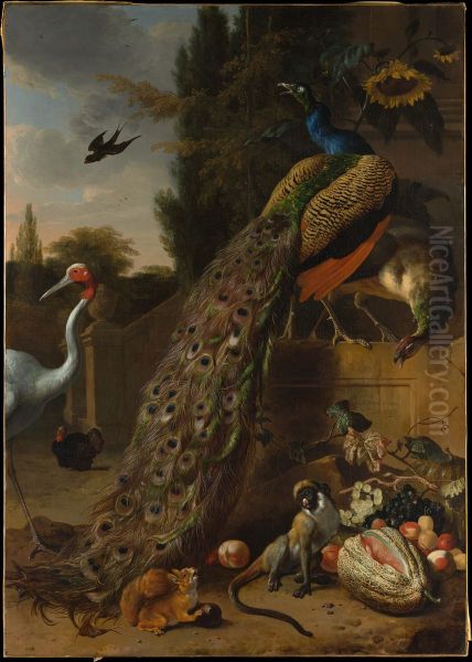 Peacocks - view 1