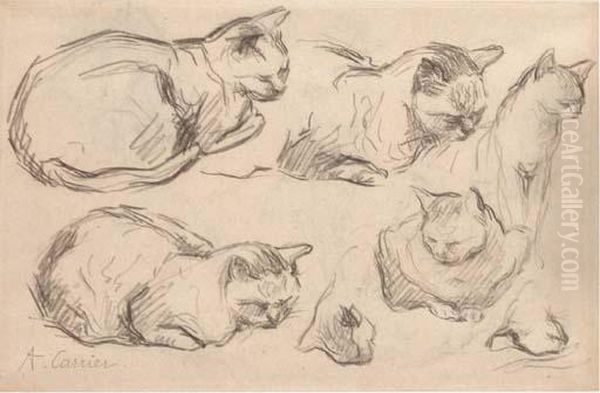 Studies Of Cats (recto And Verso) - view 1