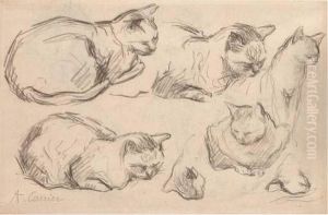 Studies Of Cats (recto And Verso) by Auguste-Joseph Carrier