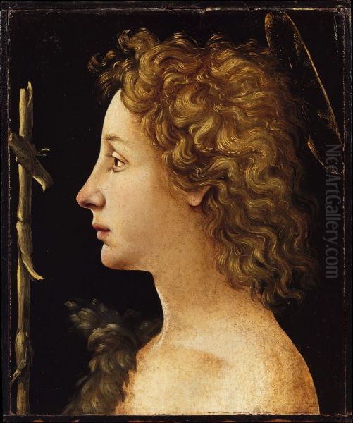 The Young Saint John the Baptist - view 1