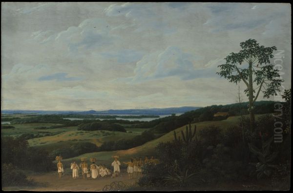 A Brazilian Landscape - view 1
