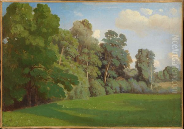 Edge of a Wood - view 1