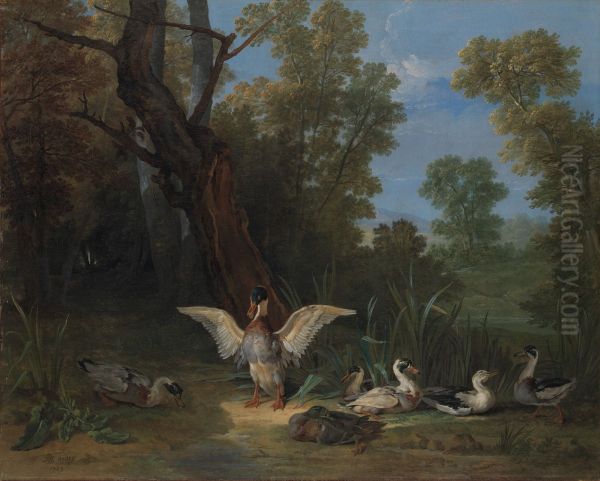 Ducks Resting in Sunshine - view 1