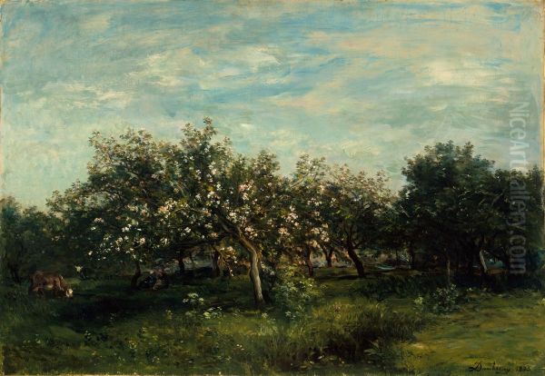 Apple Blossoms - view 1