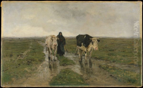 Changing Pasture - view 1