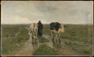 Changing Pasture Changing Pasture