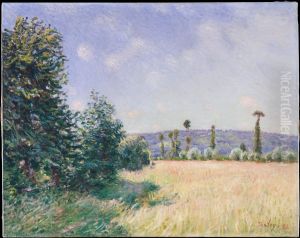 Sahurs Meadows in Morning Sun