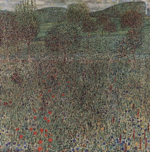 Bluhendes Feld - view 1