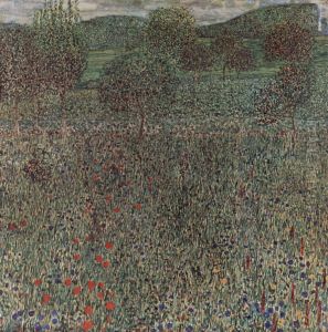 Bluhendes Feld
