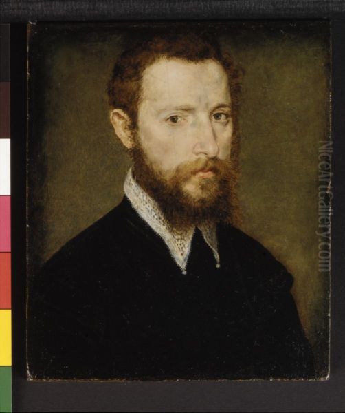 Portrait of a Man with a Pointed Collar - view 1