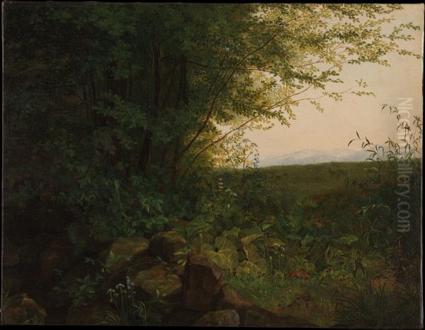Am Waldesrand - view 1