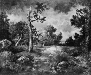 The Edge of the Woods The Edge of the Woods
