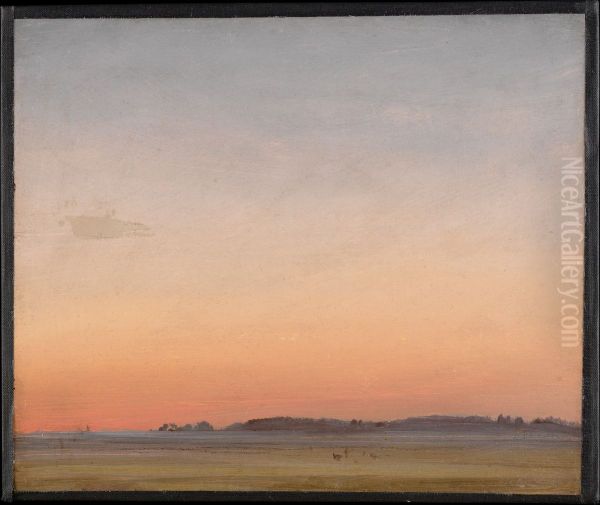 Landscape - view 1