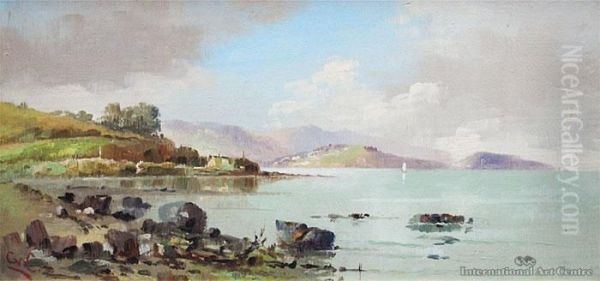 Near St Leonards, Otago - view 1