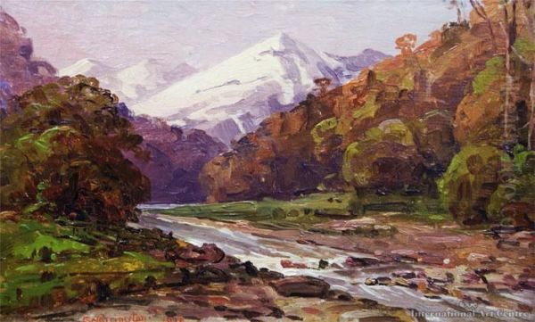 Near Arthur's Pass - view 1