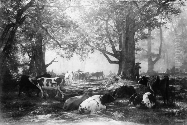 Woodland and Cattle - view 1
