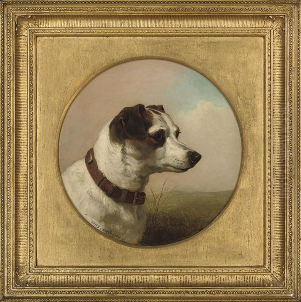 A Dog In An Extensive Landscape - view 1