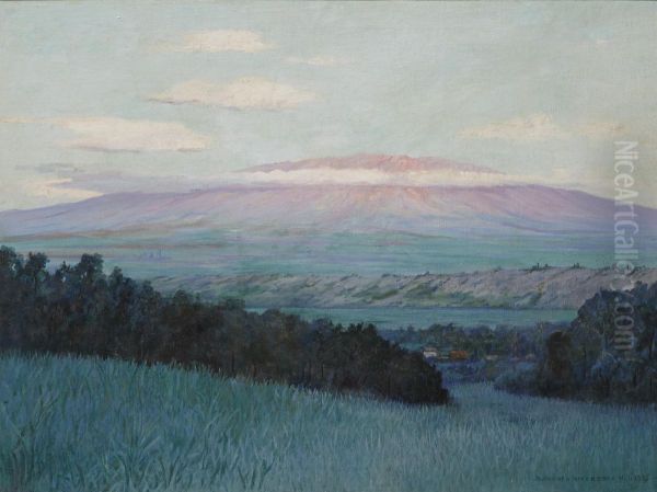 View of Haleakala, Maui - view 1