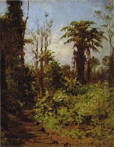 Path of Pohakuloa by D. Howard Hitchcock