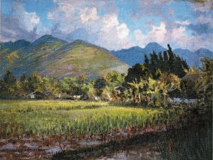 Round Top from Kewalo by D. Howard Hitchcock