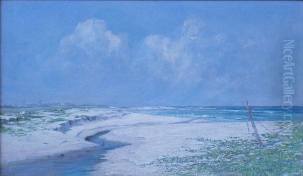 The Beach at Kamehama Nui - view 1