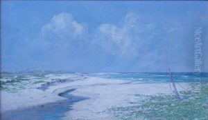 The Beach at Kamehama Nui by D. Howard Hitchcock
