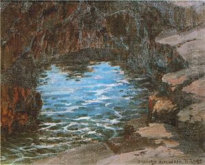 Tide Pool, Hoonaunau by D. Howard Hitchcock