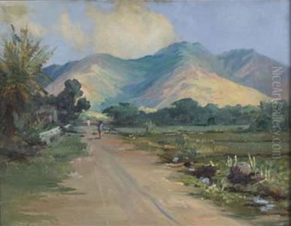 Landscape of Manoa Valley, Honolulu - view 1