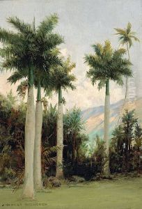 Royal Palms at Moanalua, near Honolulu by D. Howard Hitchcock