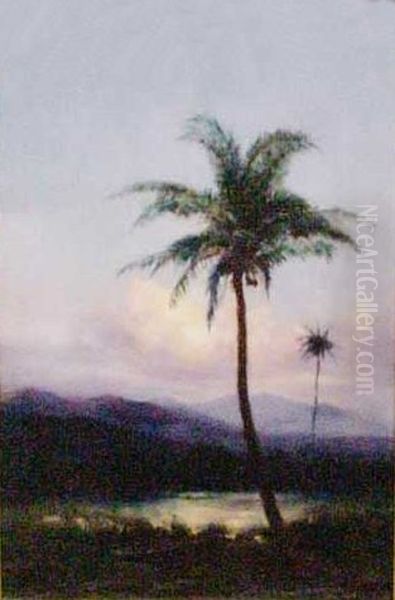Big Island Landscape - view 1