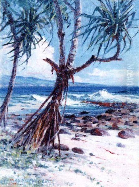 Lauhala - view 1