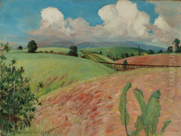Canefields, Big Island - view 1