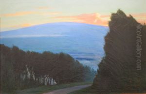 Unidentified scene of Hawaii by D. Howard Hitchcock