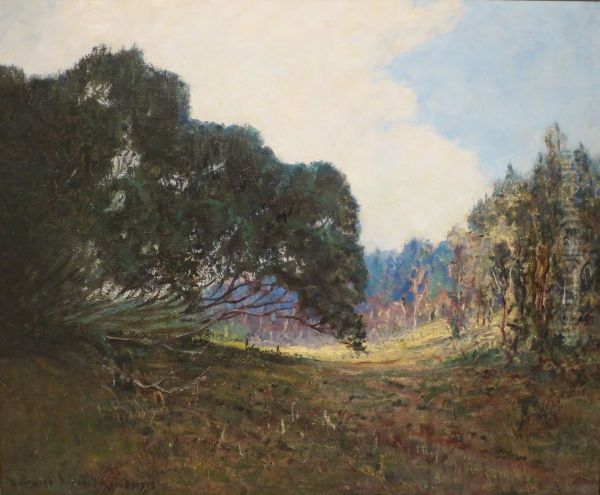Kokee Trees, Kauai - view 1