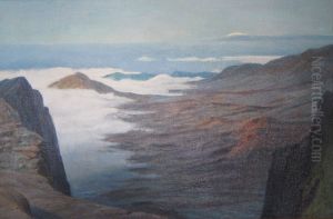 Haleakala by D. Howard Hitchcock