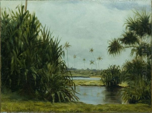Hilo Bay - view 1