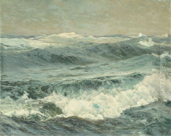 The Roaring Forties - view 1