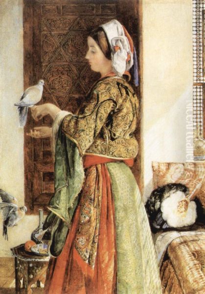 Captive Dove, Kairo - view 1