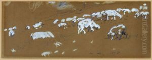 Sheep