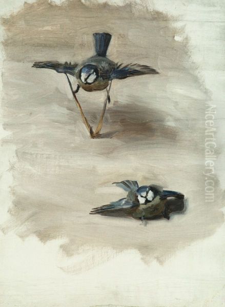 Studies of a Dead Bird - view 1