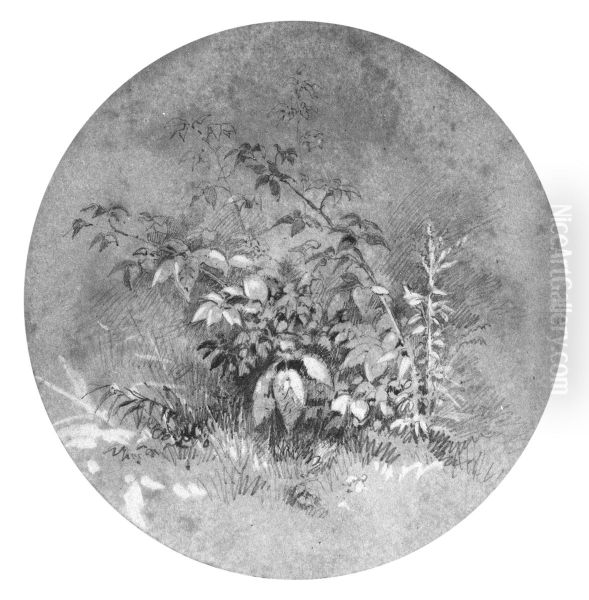 Study of Ground Foliage (from Cropsey Album) - view 1