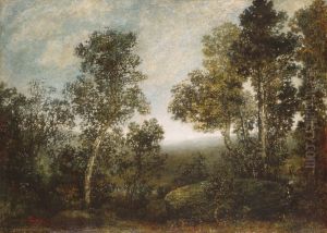 Landscape Landscape