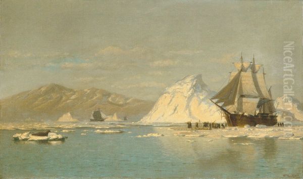 Off Greenland-Whaler Seeking Open Water - view 1