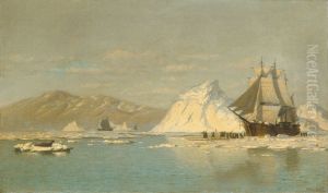 Off Greenland-Whaler Seeking Open Water