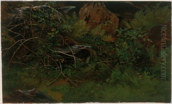 Study from Nature - view 1