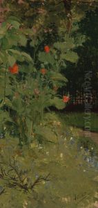 Garden Corner (Poppies)