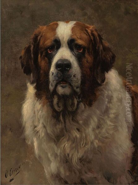 Head of a St. Bernard Dog - view 1