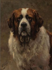 Head of a St. Bernard Dog